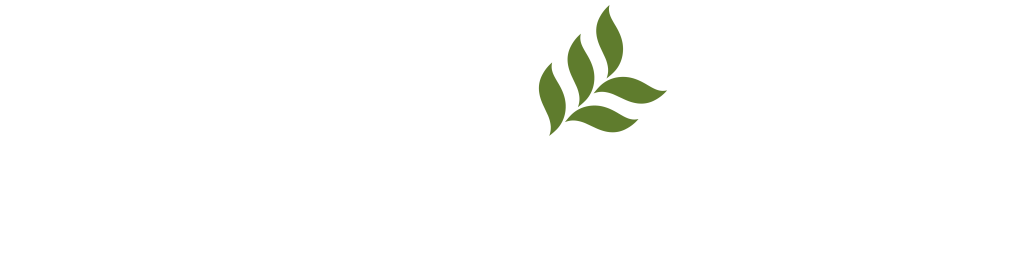 Logo of Whitsitt Fields Family Law Attorneys, featuring elegant text and a leaf design.
